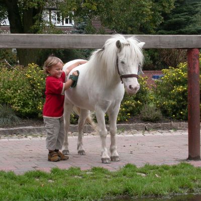Kind striegelt Pony auf dem Ferienhof Cohrs