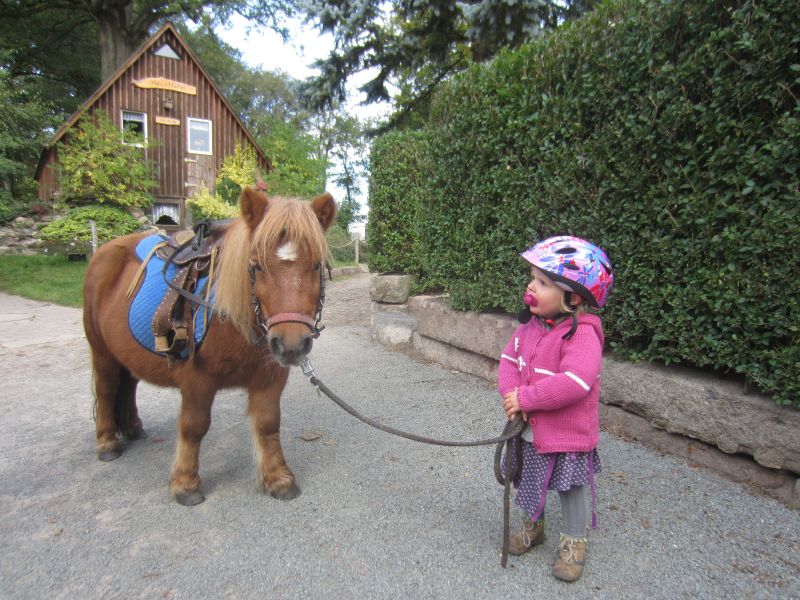 Kleines Mädchen führt ein Pony auf dem Ferienhof Cohrs