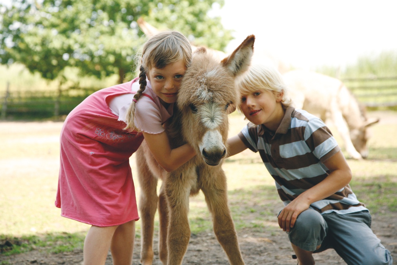 Zwei Kinder schmusen mit einem Esel-Fohlen