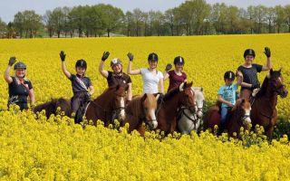 Reitergruppe im Rapsfeld vom Ferienhaus Viebrock