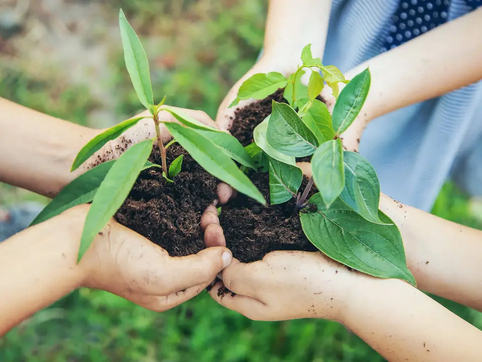 Teamarbeit Anpflanzen - © yanadjan, adobe stock Kinderhände pflanzen zusammen Pflanzen.