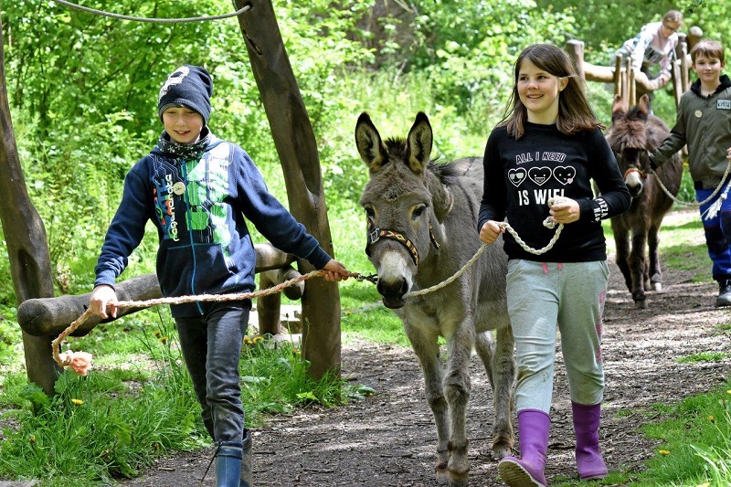 Kinder gehen mit Eseln auf dem Gelände von Gut Herbigshagen spazieren